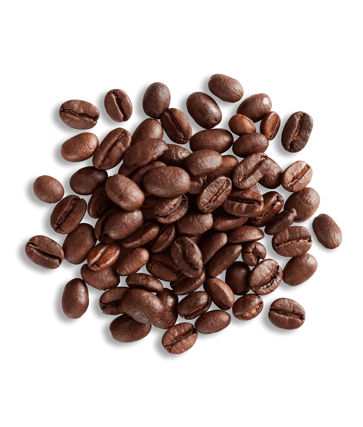 Vine & Walnut Autumn 2025