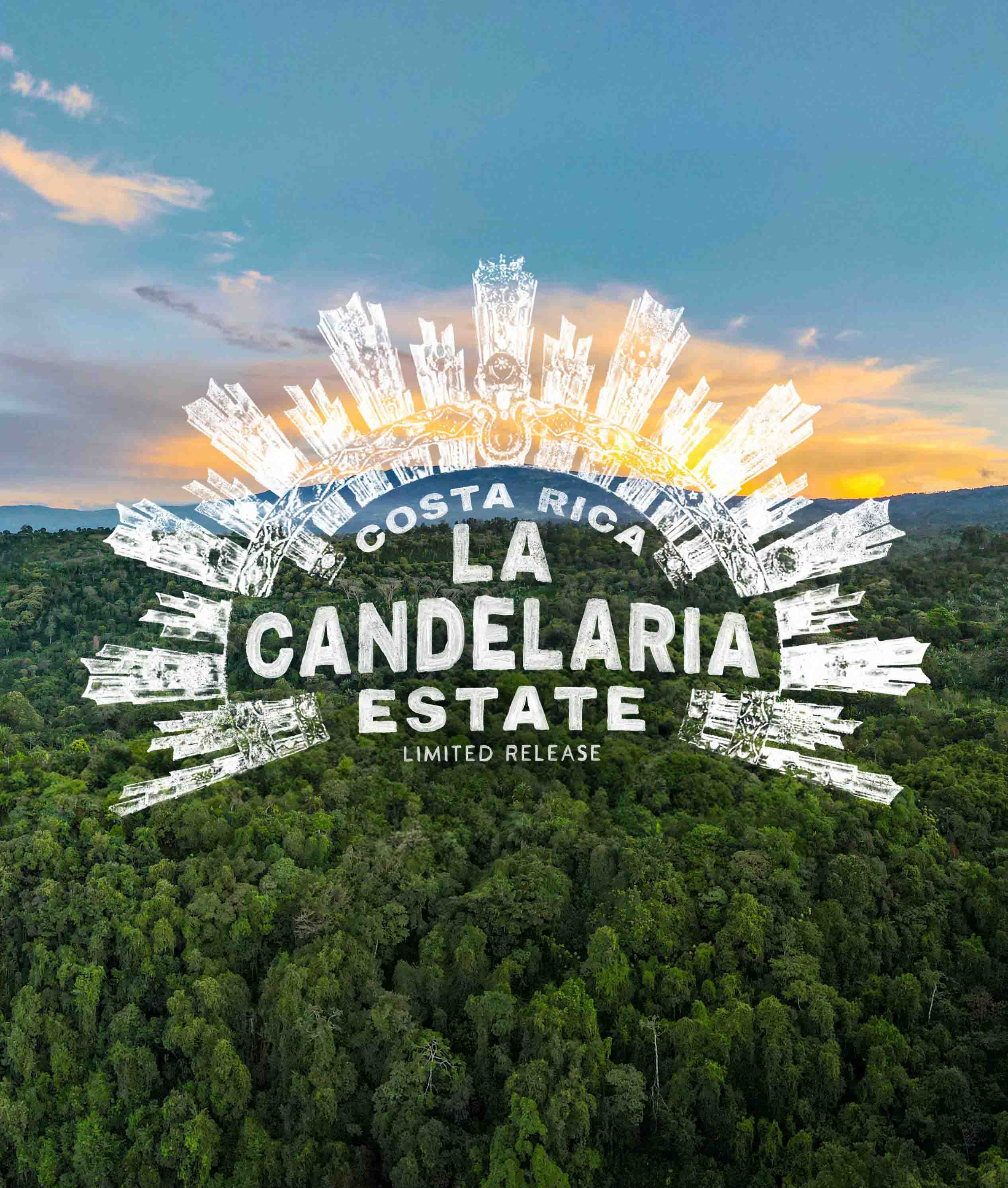 Costa Rica La Candelaria Estate