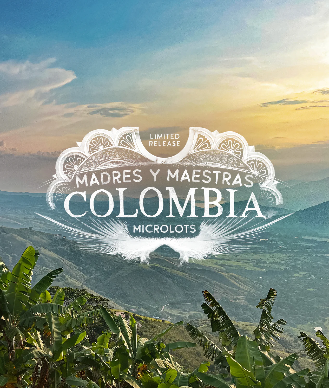 Madres Y Maestras Colombia Microlots