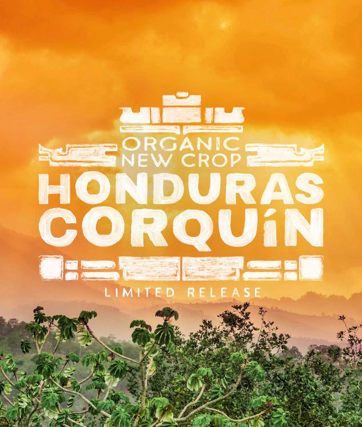 Organic New Crop Honduras Corquín